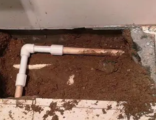 开鲁测漏水哪家好