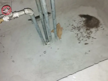 开鲁卫生间测漏水价格明细