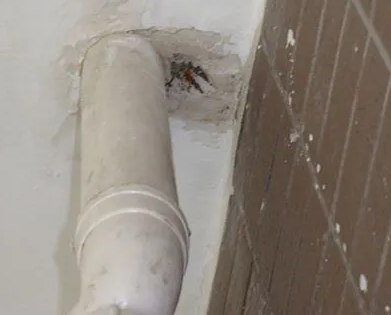 开鲁漏水检测哪家好